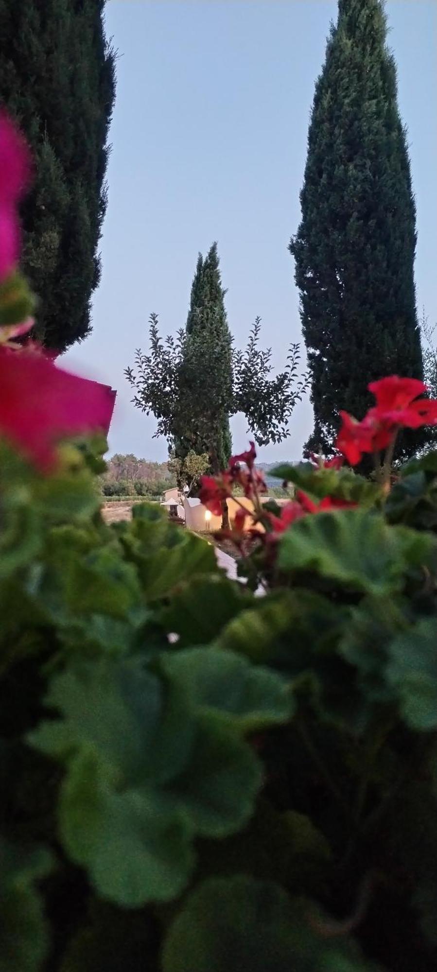 Badia Agnano I Salici Agriturismo מראה חיצוני תמונה