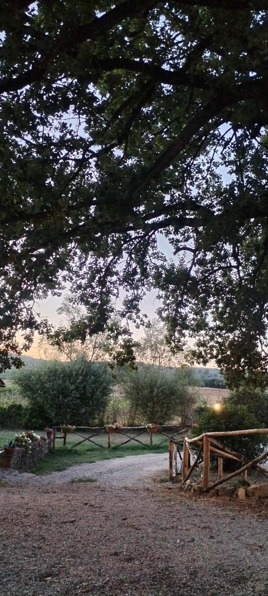 Badia Agnano I Salici Agriturismo מראה חיצוני תמונה