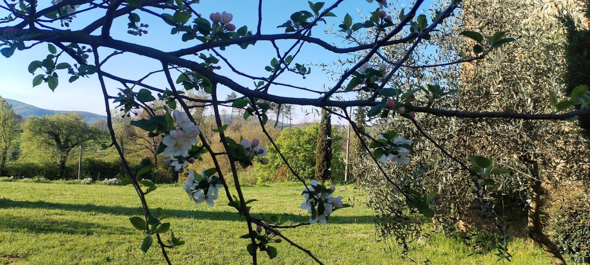 Badia Agnano I Salici Agriturismo מראה חיצוני תמונה