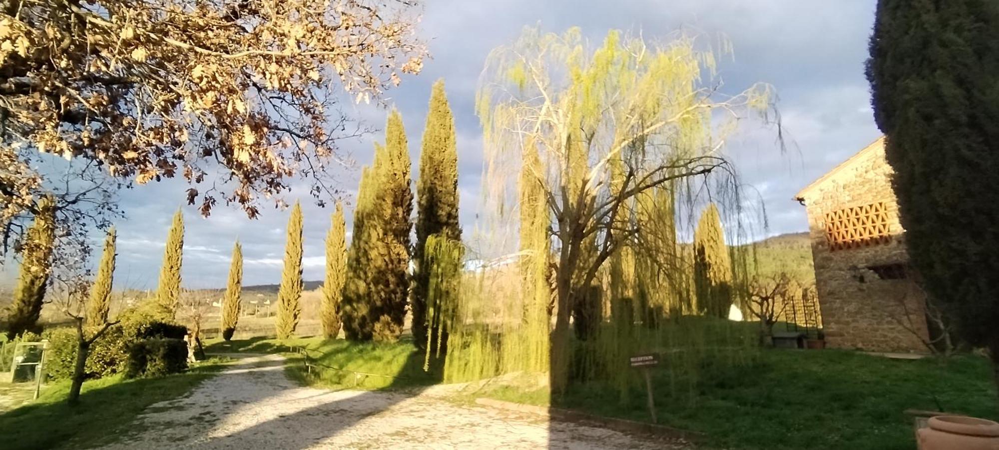 Badia Agnano I Salici Agriturismo מראה חיצוני תמונה